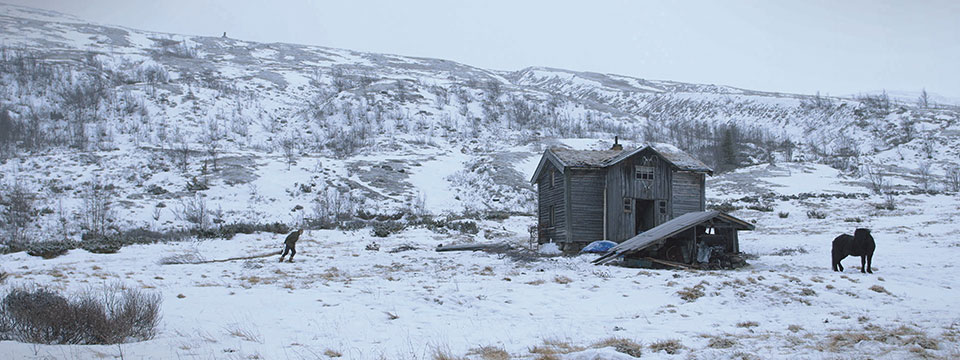 Drømmeland