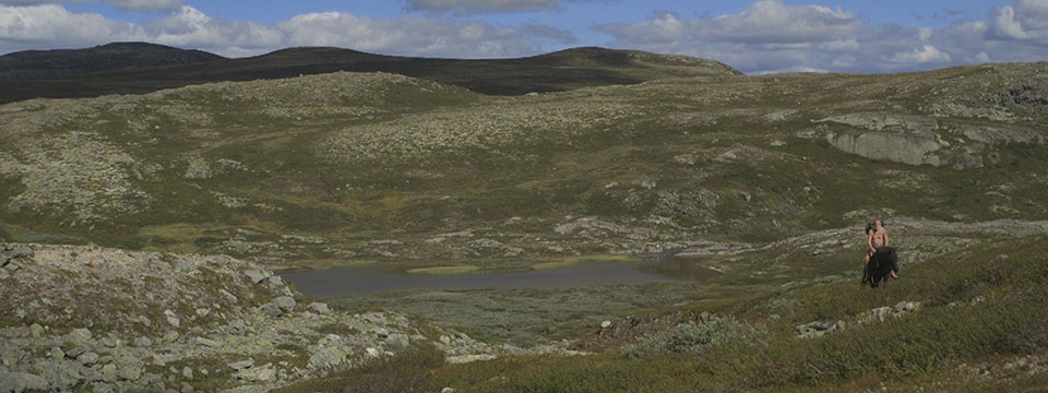 Drømmeland