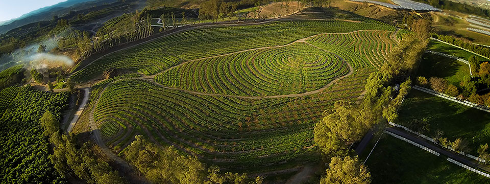 The Biggest Little Farm