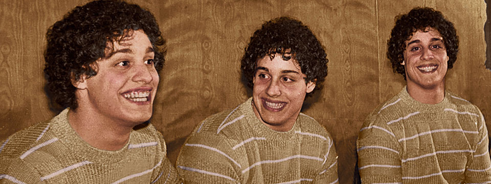 Three Identical Strangers
