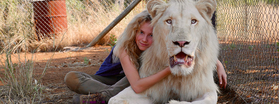 Mia et le lion blanc (Mia and the White Lion)