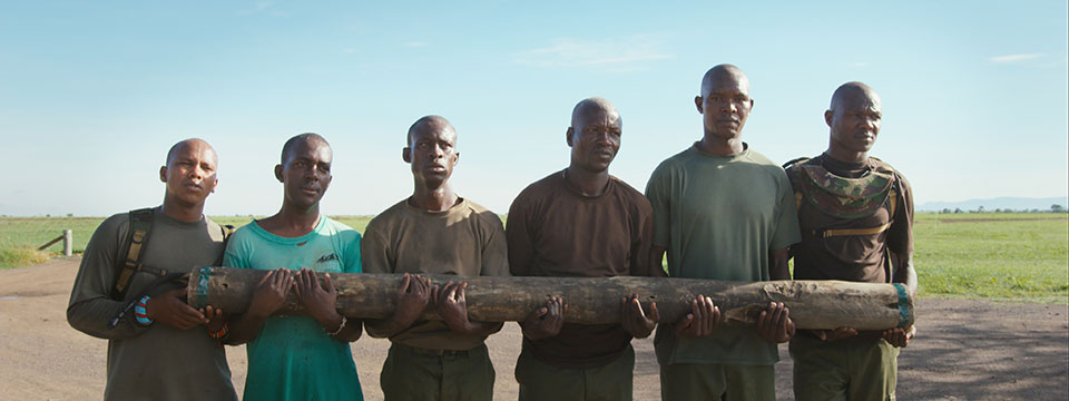The Last Male on Earth (Last Male Standing)