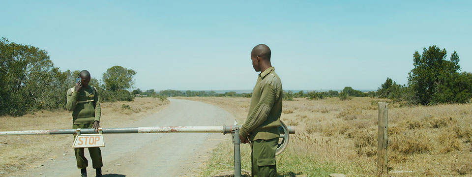The Last Male on Earth (Last Male Standing)