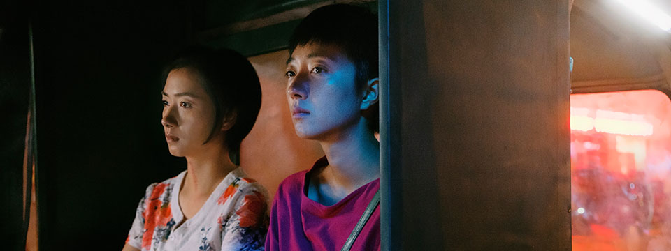 Nan fang che zhan de ju hui (The Wild Goose Lake)
