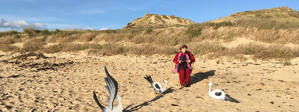 Varda par Agnès (Varda by Agnès)