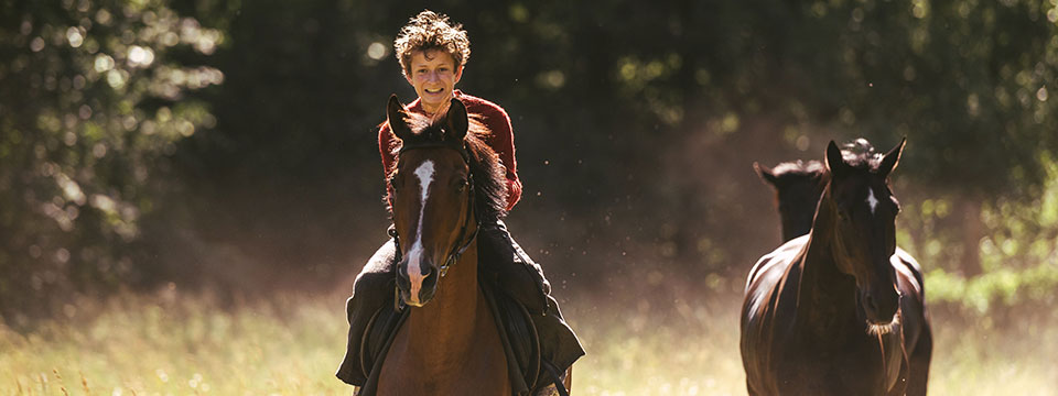 Ut og stjæle hester (Out Stealing Horses)