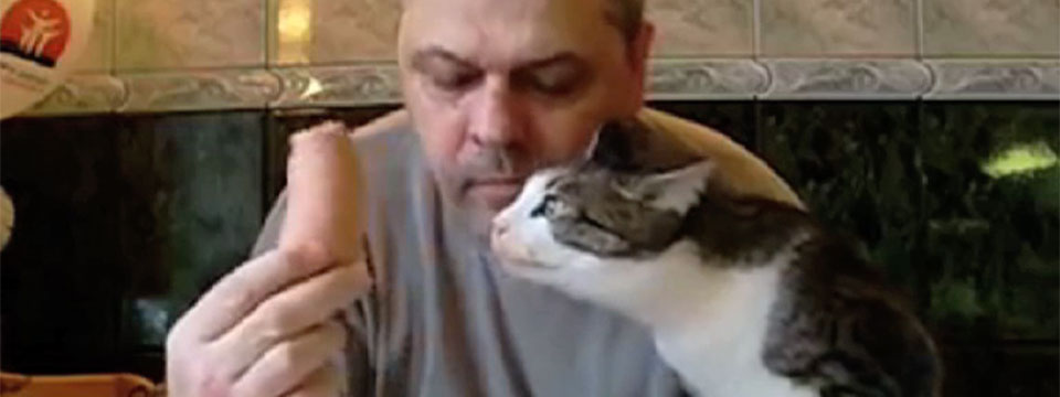 CatVideoFest 2019