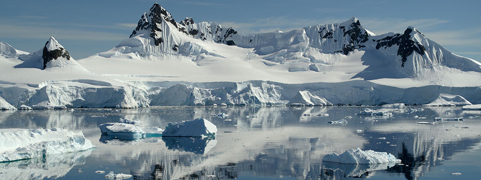David Attenborough: A Life on Our Planet