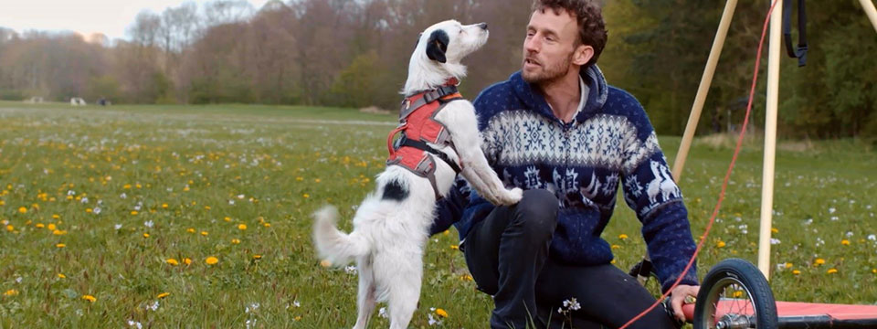 De vliegende hond