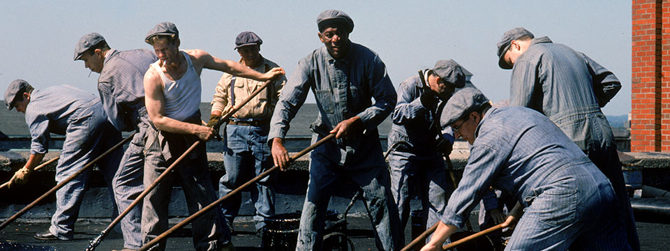 The Shawshank Redemption (25th Anniversary)