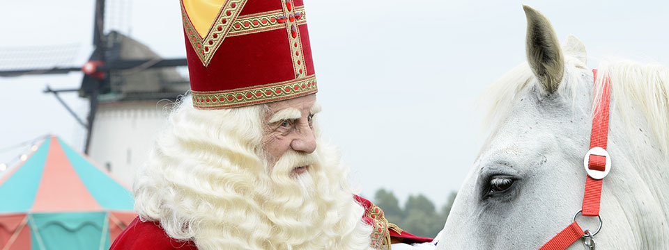 De grote Sinterklaasfilm