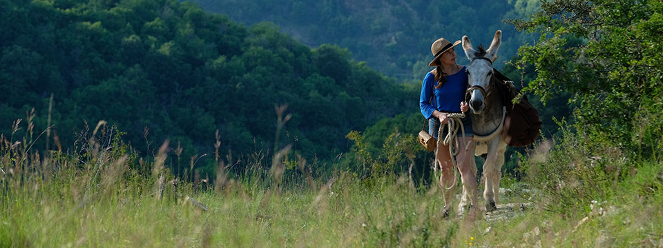 Antoinette dans les Cévennes (My Donkey, My Lover & I)