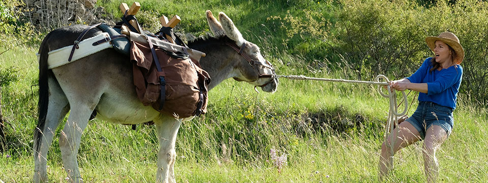 Antoinette dans les Cévennes (My Donkey, My Lover & I)