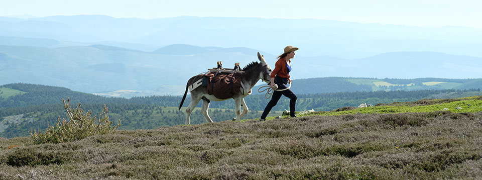 Antoinette dans les Cévennes (My Donkey, My Lover & I)