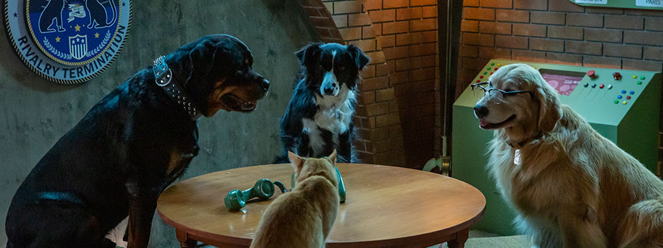 Cats & Dogs: Paws Unite (Cats & Dogs: Slaan de pootjes ineen!)