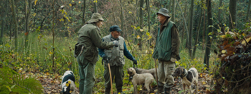 The Truffle Hunters
