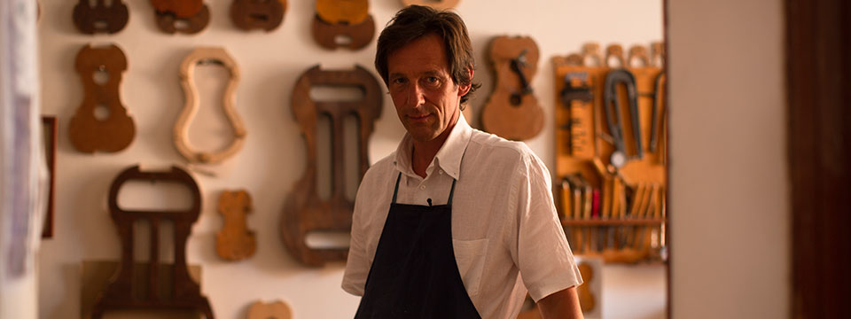 The Quest for Tonewood