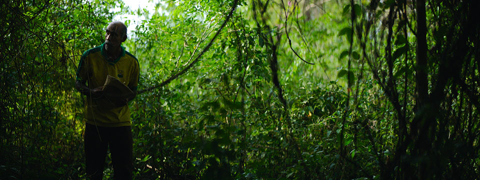 Tantas almas (Valley of Souls)