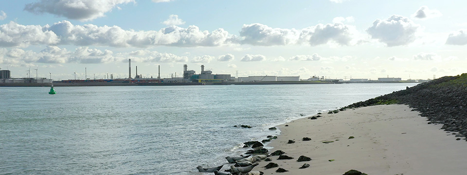 Wild Port of Europe (De nieuwe wildernis 2.0 – Natuur in de havens)