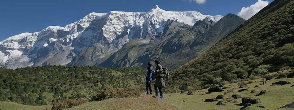 Lunana: A Yak in the Classroom