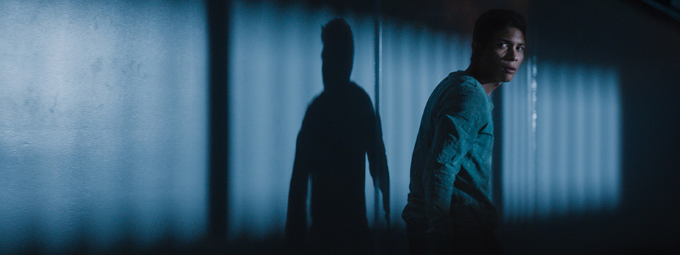 Perdidos en la noche (Lost in the Night)