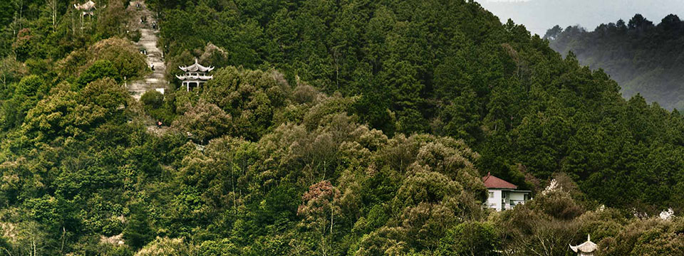 Chunjiang shuinuan (Dwelling in the Fuchun Mountains)