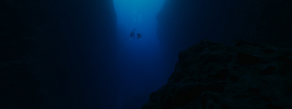 The Dive