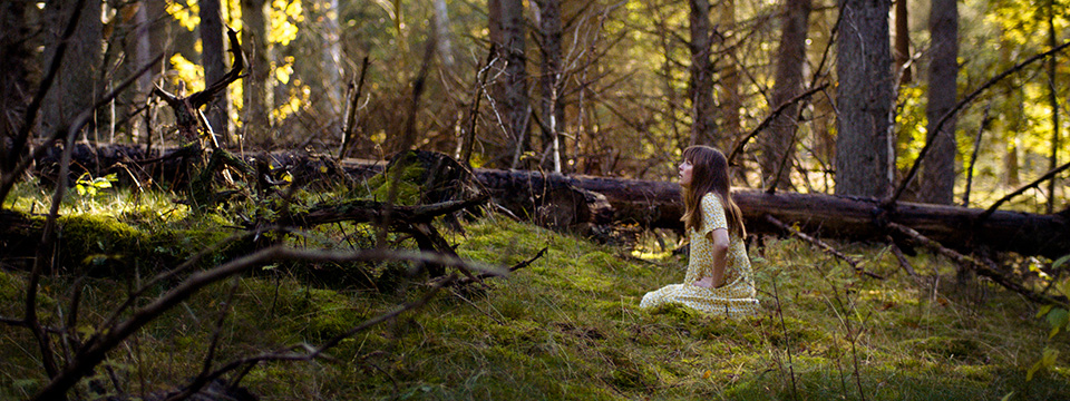 Ingen kender dagen (A Matter of Trust | Nordic Watching)