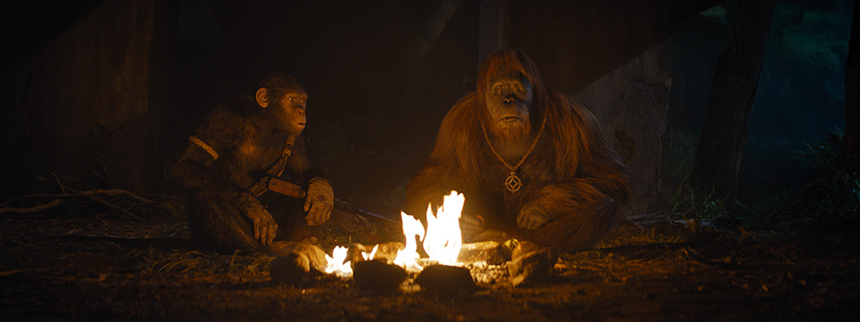 Kingdom of the Planet of the Apes