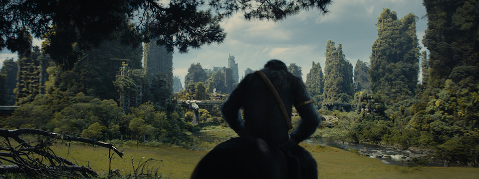 Kingdom of the Planet of the Apes