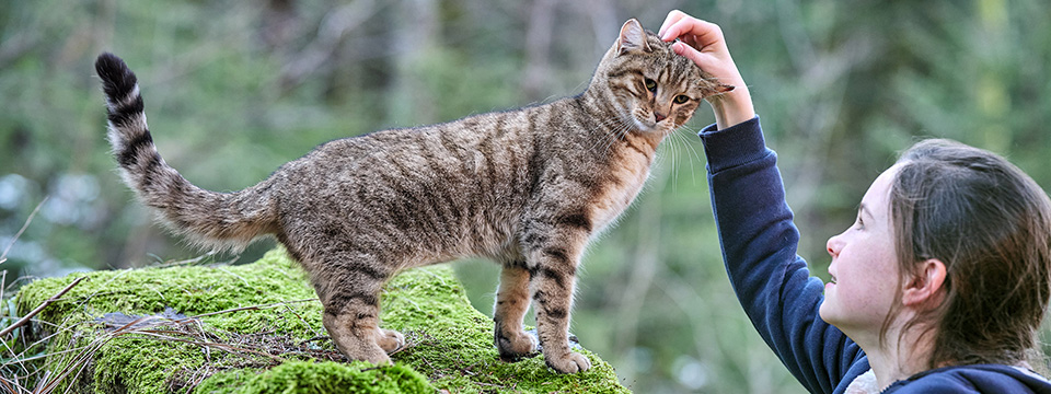 Mon chat et moi (Mijn kat en ik | Rroû)