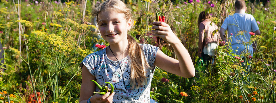 Onder het Maaiveld Junior