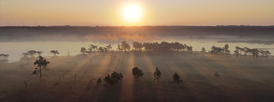 Onze Natuur, het Wilde België