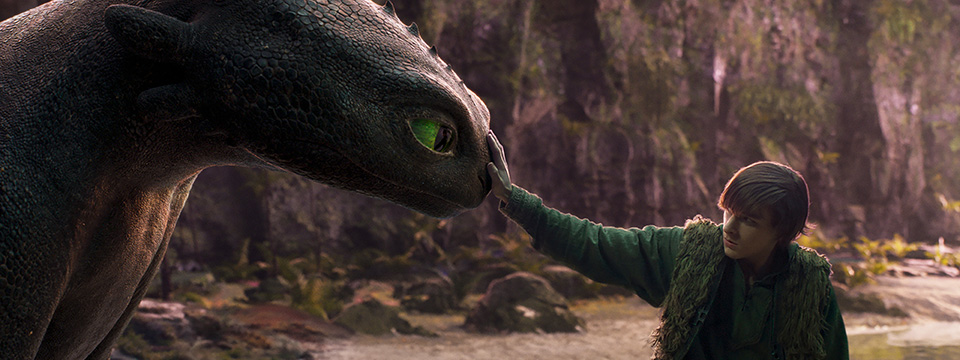 How to Train Your Dragon