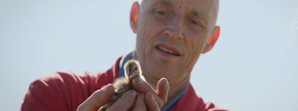 Vogels kun je niet melken (De boer, het land en de zonen)