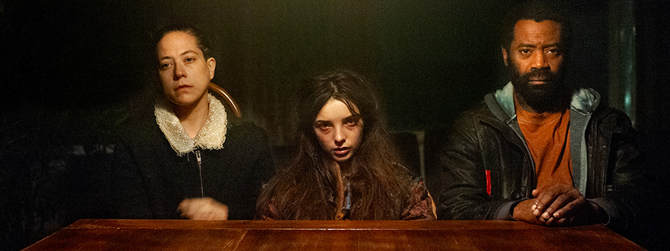 The Wolf, the Fox and the Leopard