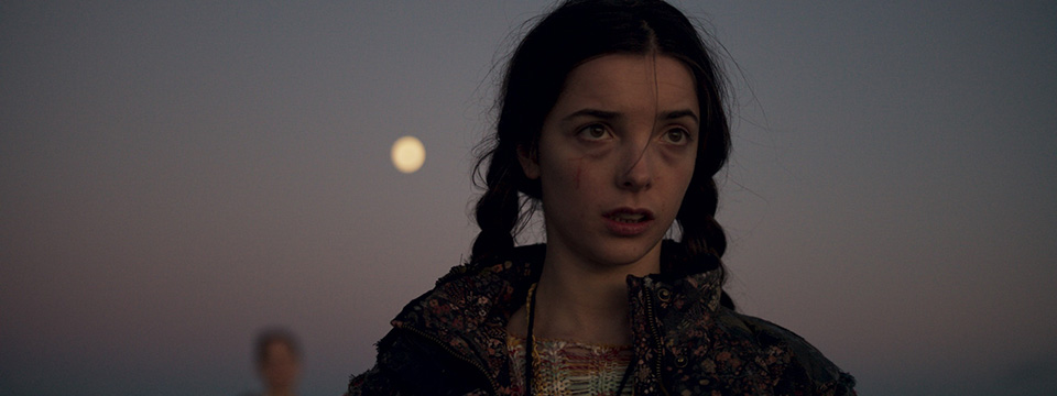 The Wolf, the Fox and the Leopard