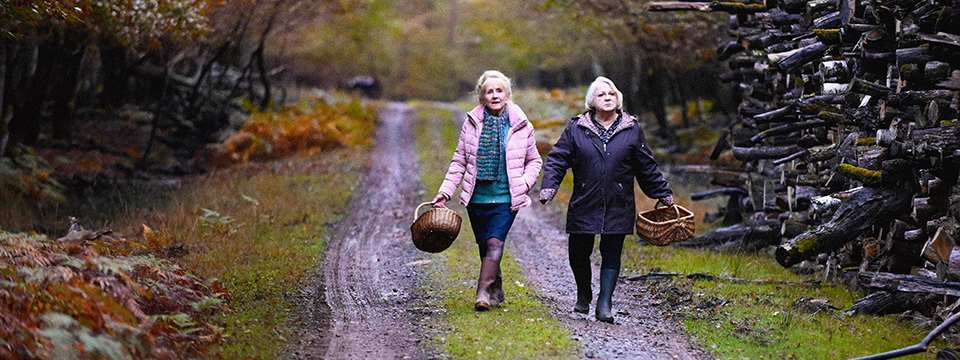 Quand vient l'automne (When Fall Is Coming)