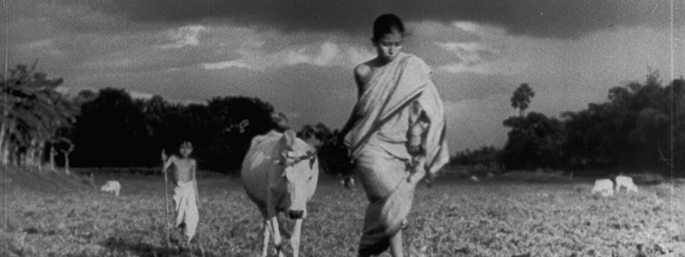 Pather panchali (Song of the Little Road)