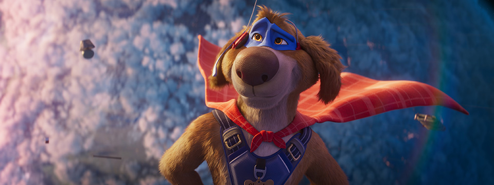 Charlie the Wonderdog