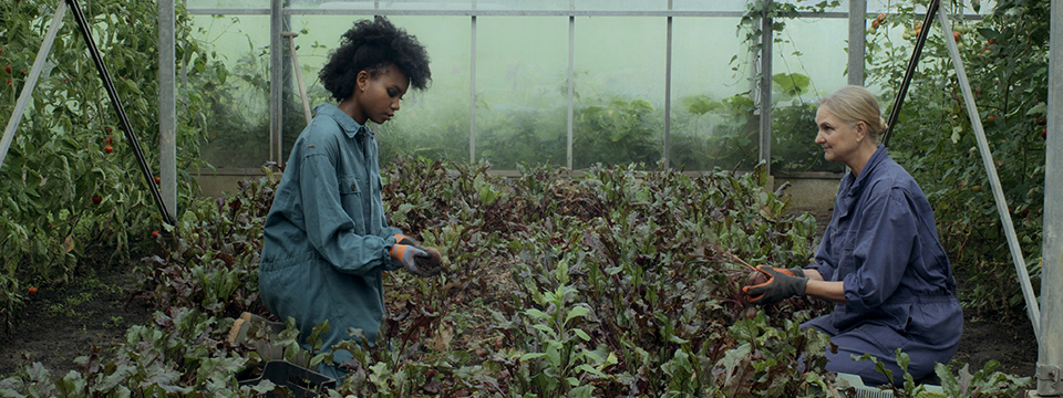 Forget All You Know (about Aliens)