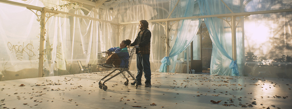 Koning van de zwervers