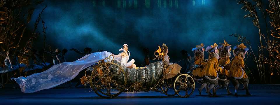 RBO 25/26: Assepoester