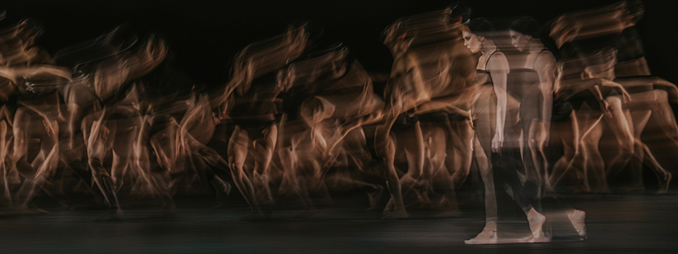 RBO 25/26: Woolf Works