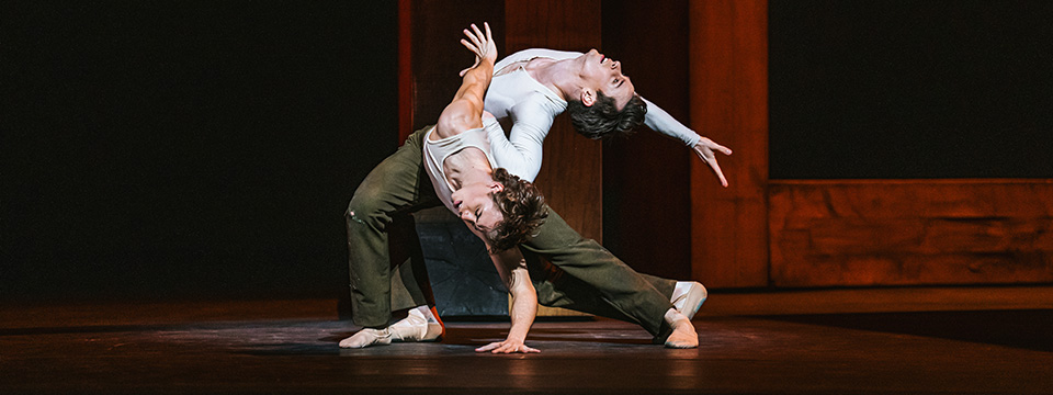 RBO 25/26: Woolf Works