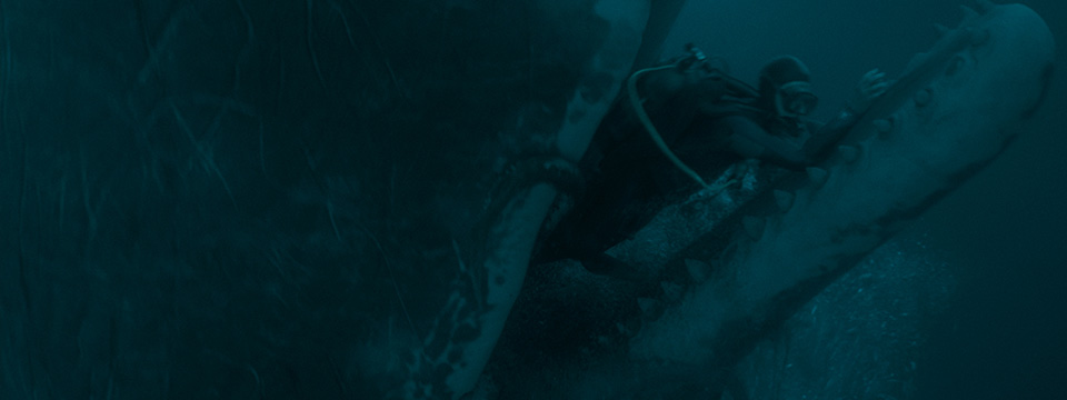Whalefall