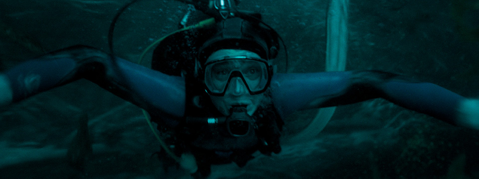 Whalefall
