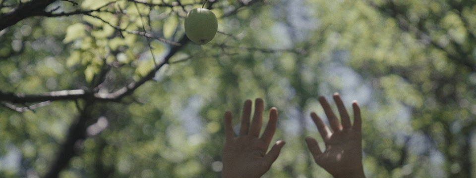 Kabul Between Prayers