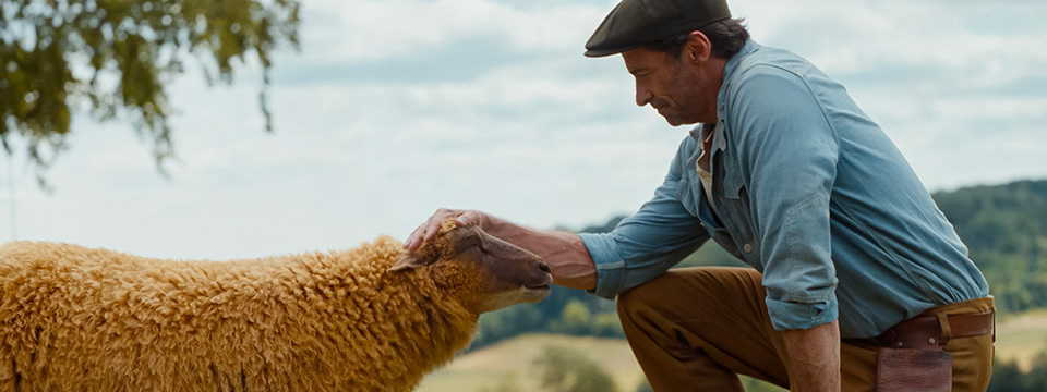 The Sheep Detectives (De schapenspeurders)