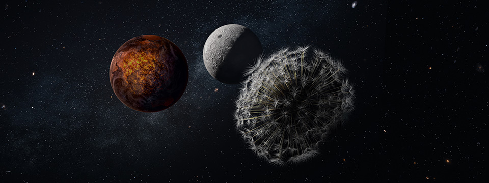 Planètes (Dandelion's Odyssey)